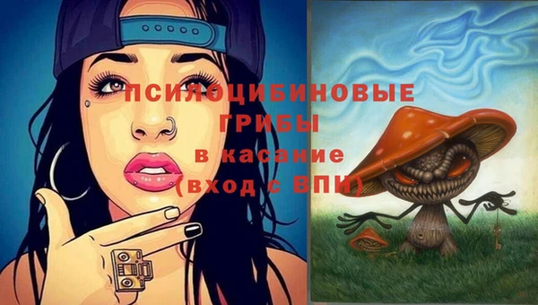 героин Абаза