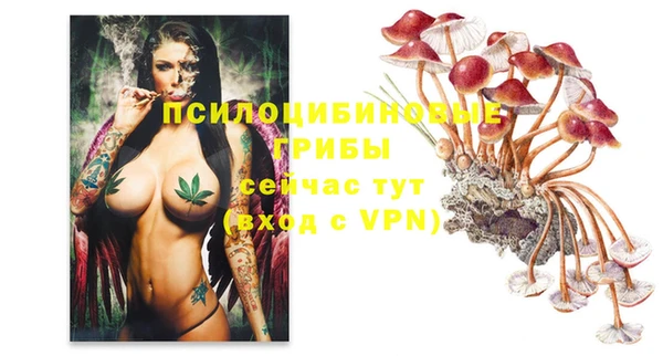 героин Абаза