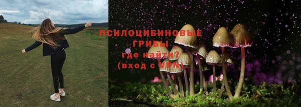 эйфоретик Абинск